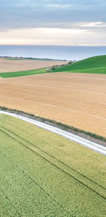 Vue sur la Baie de Wissant